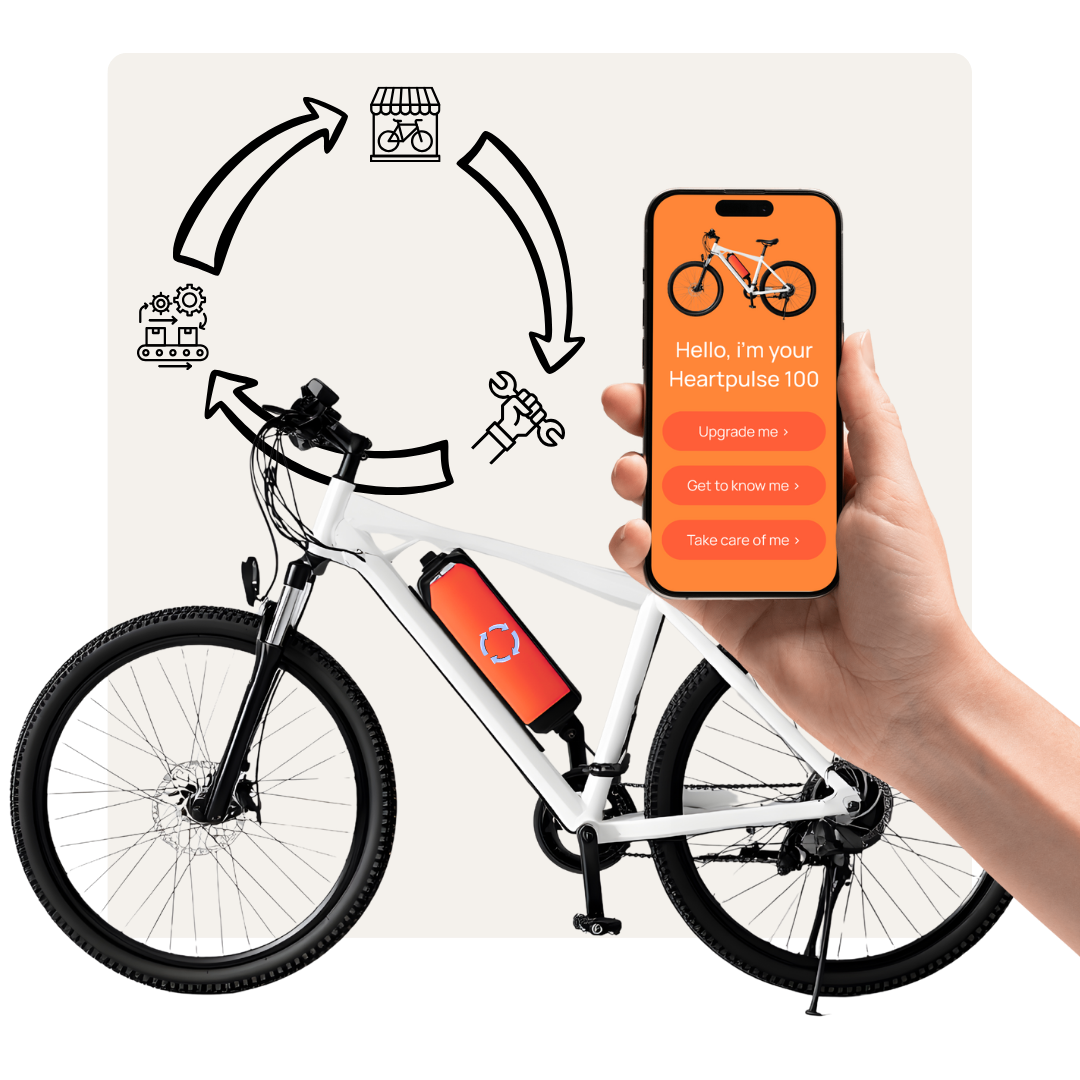 Lifetime-Companion_Fahrradbatterie